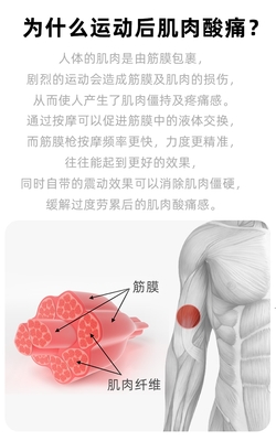 深度評(píng)測 菠蘿君U1筋膜槍——你的隨身放松專家