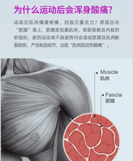 筋膜槍，是放松神器還是健康隱患？揭秘其真實(shí)效用與四大潛在風(fēng)險(xiǎn)