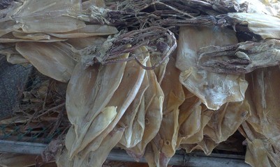 舟山海鮮干貨之王 魷魚干的傳統(tǒng)工藝與現(xiàn)代價值