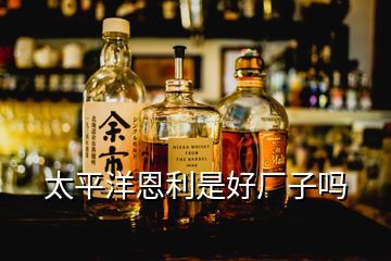 青島制造的三重奏 從狀元郎的密碼到全球味蕾的答案